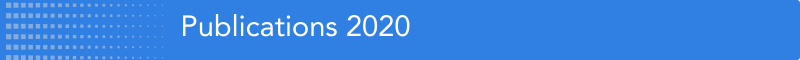 Button with text Publications 2020